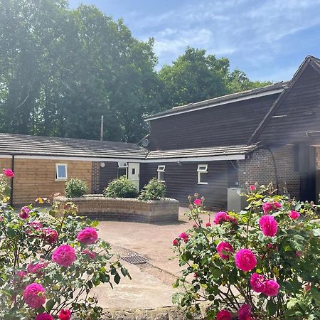 The Rose Cottage Wisborough Green Zewnętrze zdjęcie